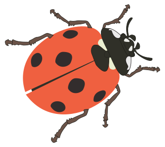 Ine Krijne Natuurfotografie